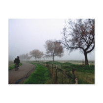 Foggy Rider