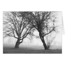 Foggy Trees Black & White