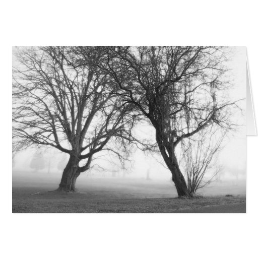 Foggy Trees Black & White Card