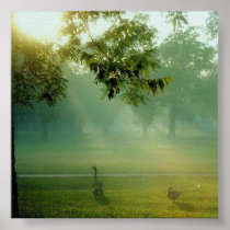 foggygeese posters