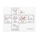 Folding cookie box postcards