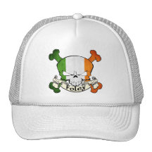 Foley Irish Skull Mesh Hat