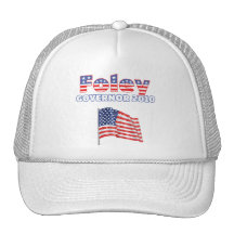Foley Patriotic American Flag 2010 Elections Mesh Hat