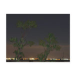 Foliage and City Lights 1 Postcard