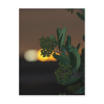 Foliage and City Lights 2 Postcard