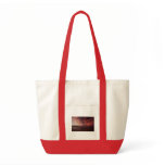 Folksinger Dawn bags