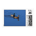Follow Me Duck Postage postage
