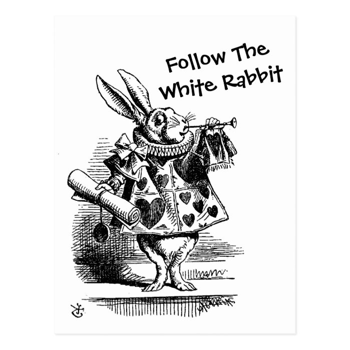 Follow The White Rabbit CC0257 Postcard