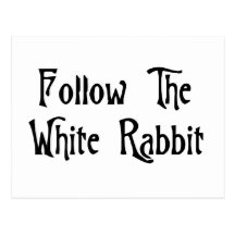 Follow The White Rabbit Post Card