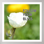 Follow Your Bliss White Tulip Poster