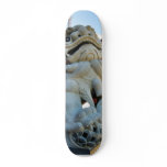Foo Dog In Chinatown In Los Angeles skateboards