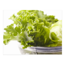 Food, Food And Drink, Vegetable, Lettuce, Post Card