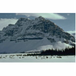 Foot And Peak Of A Mountain photo sculptures