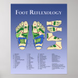 Foot Reflexology chart - Blue posters
