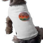 Footbag Hacky Sack pet clothing