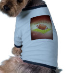 Football pet clothing