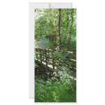 Footbridge in Woodland. Custom rack cards