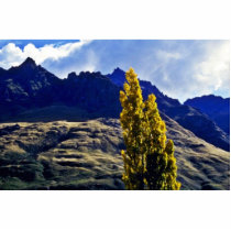 Foothills Of Southern Alps, South Island Photo Cut Out