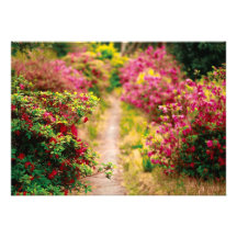 Footpath with azaleas personalised invitations