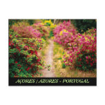 Footpath with azaleas