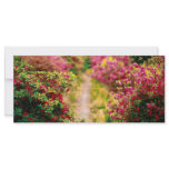 Footpath with azaleas