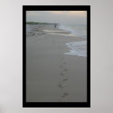 footprints