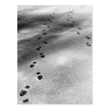 Footprints in Snow Postcards