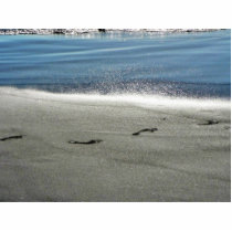 Footprints In The Sand Cut Outs