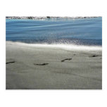 Footprints In The Sand Postcards