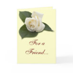 For a Friend White Rose Card
