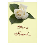 For a Friend White Rose Card