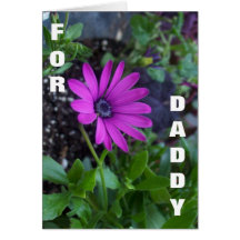 For Daddy Greeting Card