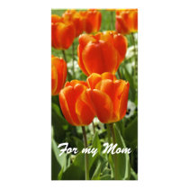 For my Mum Card Photo Greeting Card