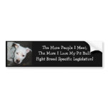 For Simona bumper sticker 2 bumper stickers