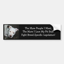 For Simona bumper sticker 2