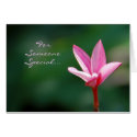 For Someone Special Card