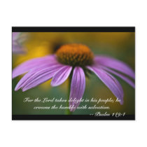 For the Lord takes delight in his people; he crown Post Cards