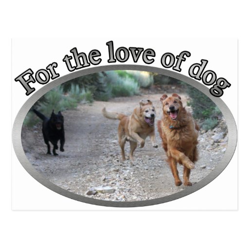 For the love of dog! post card