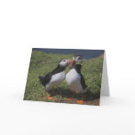 For You.. Cards