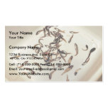 Forage fish Research, Shumagin islands Business Card