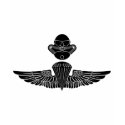 Force Recon T Shirt - Insignia