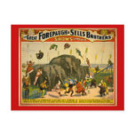 Forepaugh & Sells Brothers Elephants Circus Poster Postcards