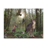 Forest Animals Postcard