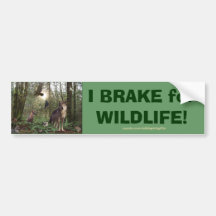 Forest Animals Wildlife Lover Auto Sticker Bumper Stickers