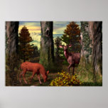 Forest Calm posters