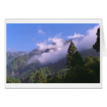 Forest cards