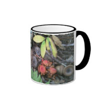 Forest carpet ,catalochee nc coffee mugs