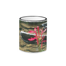 Forest carpet ,catalochee nc mugs