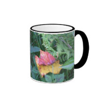 Forest carpet ,catalochee nc mugs