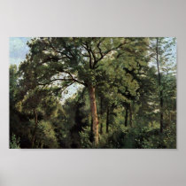 Forest Entrance At Ville D'Avray By Corot Jean-Bap Print